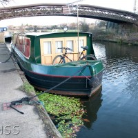 BWW pennywort 1001 2 1092